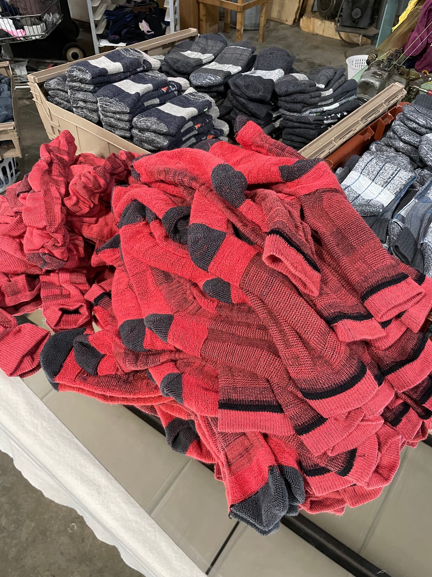 EC04 Mesh UZZI Merino 120 Hibiscus